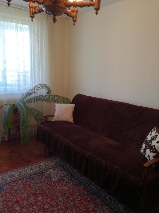 Sara Apartman เตอร์กู-มูเรช ภายนอก รูปภาพ