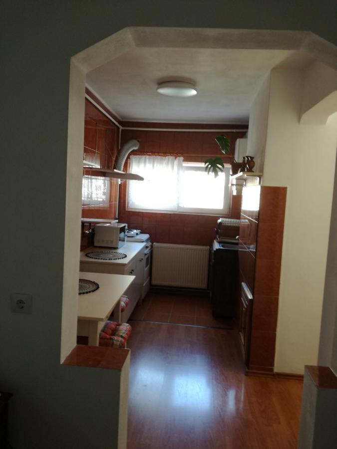 Sara Apartman เตอร์กู-มูเรช ภายนอก รูปภาพ